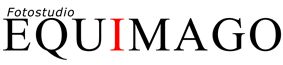 Zum Internetauftritt von Equimago